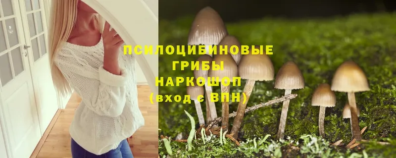 мега ТОР  наркошоп  Дегтярск  Псилоцибиновые грибы MAGIC MUSHROOMS 